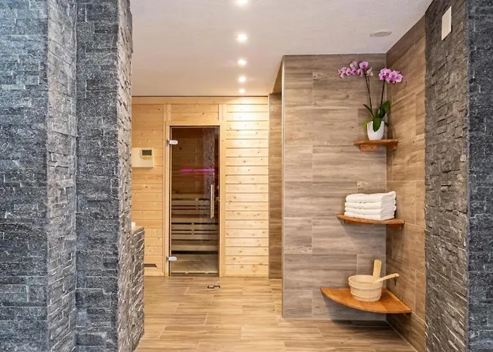 Europe App 303 * 达沃斯